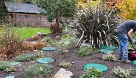 Septic-Tank-System-Maintenance